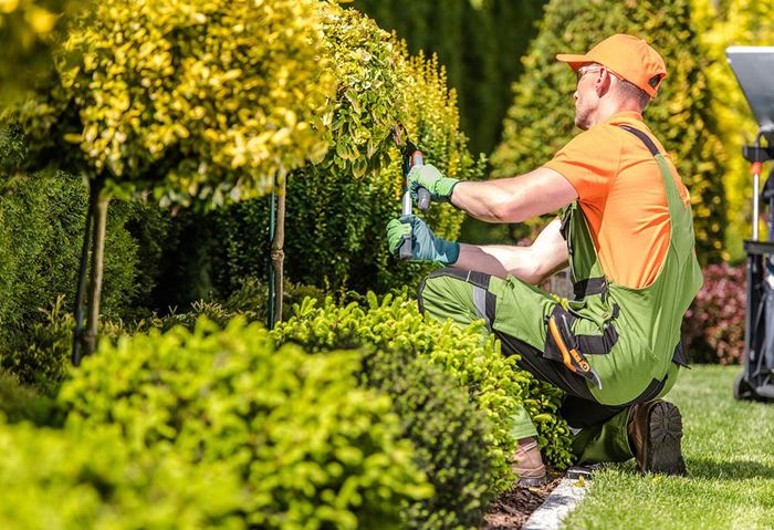 Garden Worker Trimming Plants — Dayton, TX — Precision Lawns Garden Worker Trimming Plants — Dayton, TX — Precision Lawns