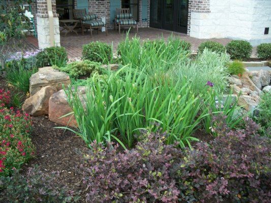 Loropetalum Plants — Dayton, TX — Precision Lawns