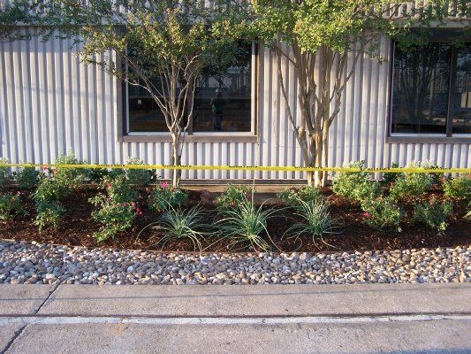 Red Yucca — Dayton, TX — Precision Lawns
