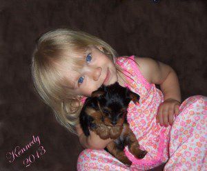 little girl holding Yorkie
