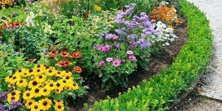 Flower garden