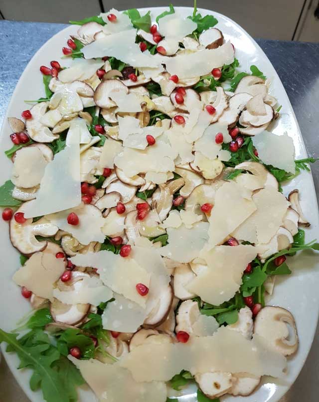 Funghi freschi