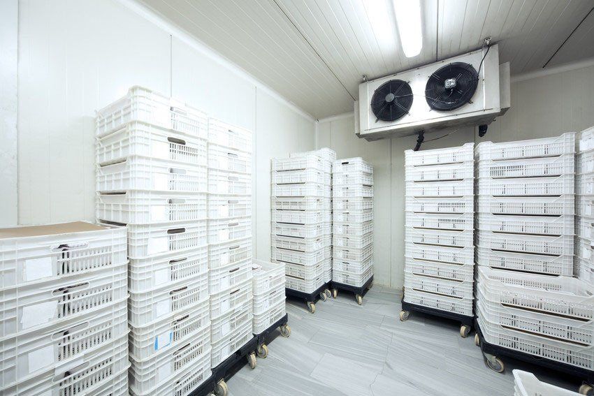 Meat Storage at -30 Celcius