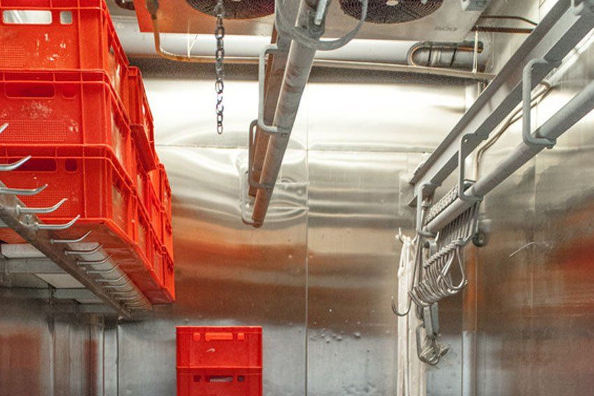 deep freezer, meat storage