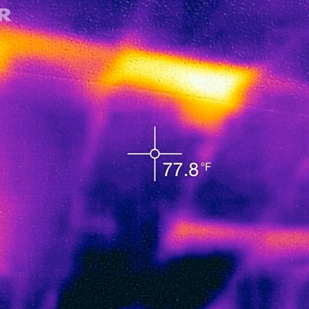 mold inspection