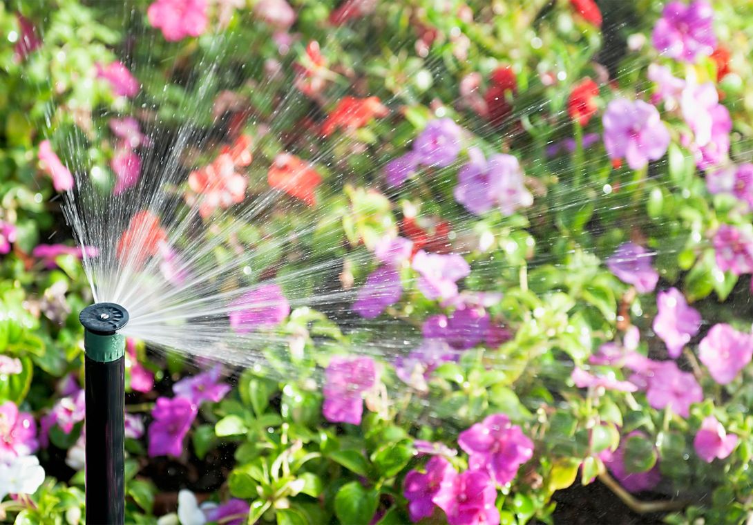 Sprinkler