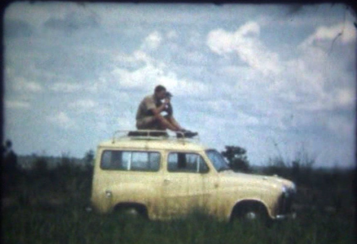 This looks like a safe position to film the African wildlife..
