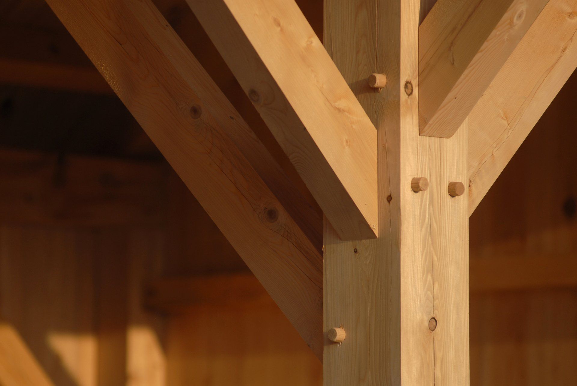 Un gros plan d'une structure en bois en construction