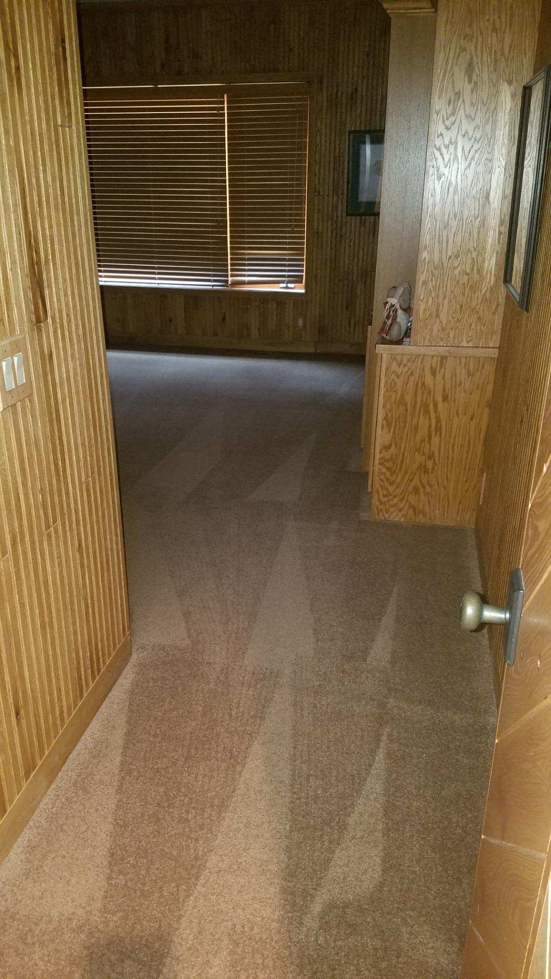 Carpet Cleaning