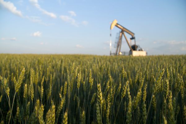 Gasolio agricolo