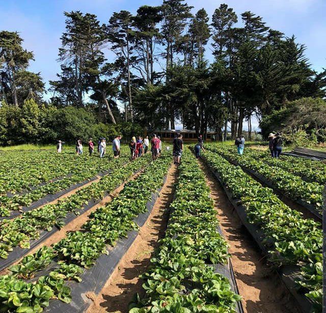 Farmworkers