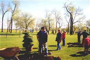planting trees