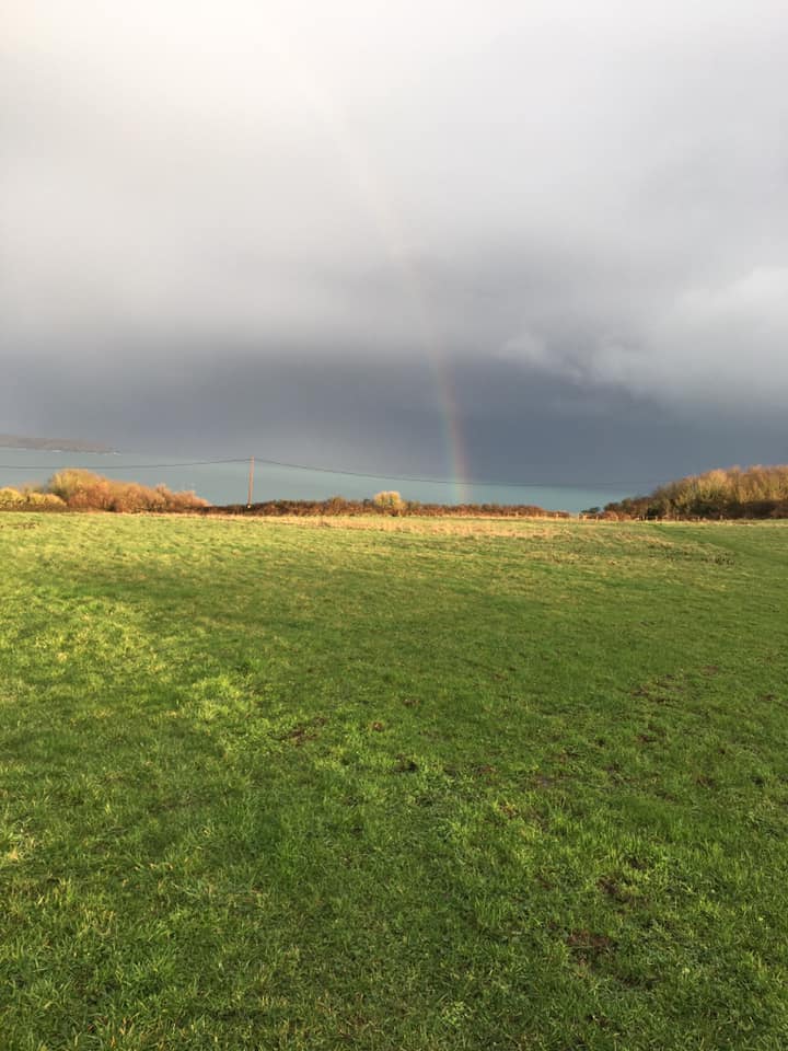 Cornwall Fields