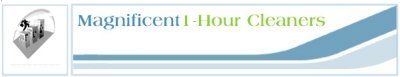 Magnificent 1-Hour Cleaners