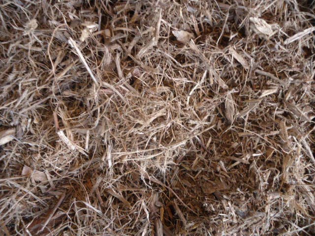 forest fines