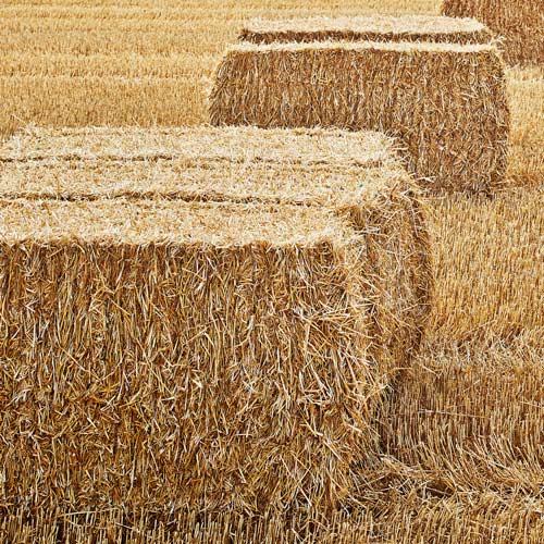 hay bale square