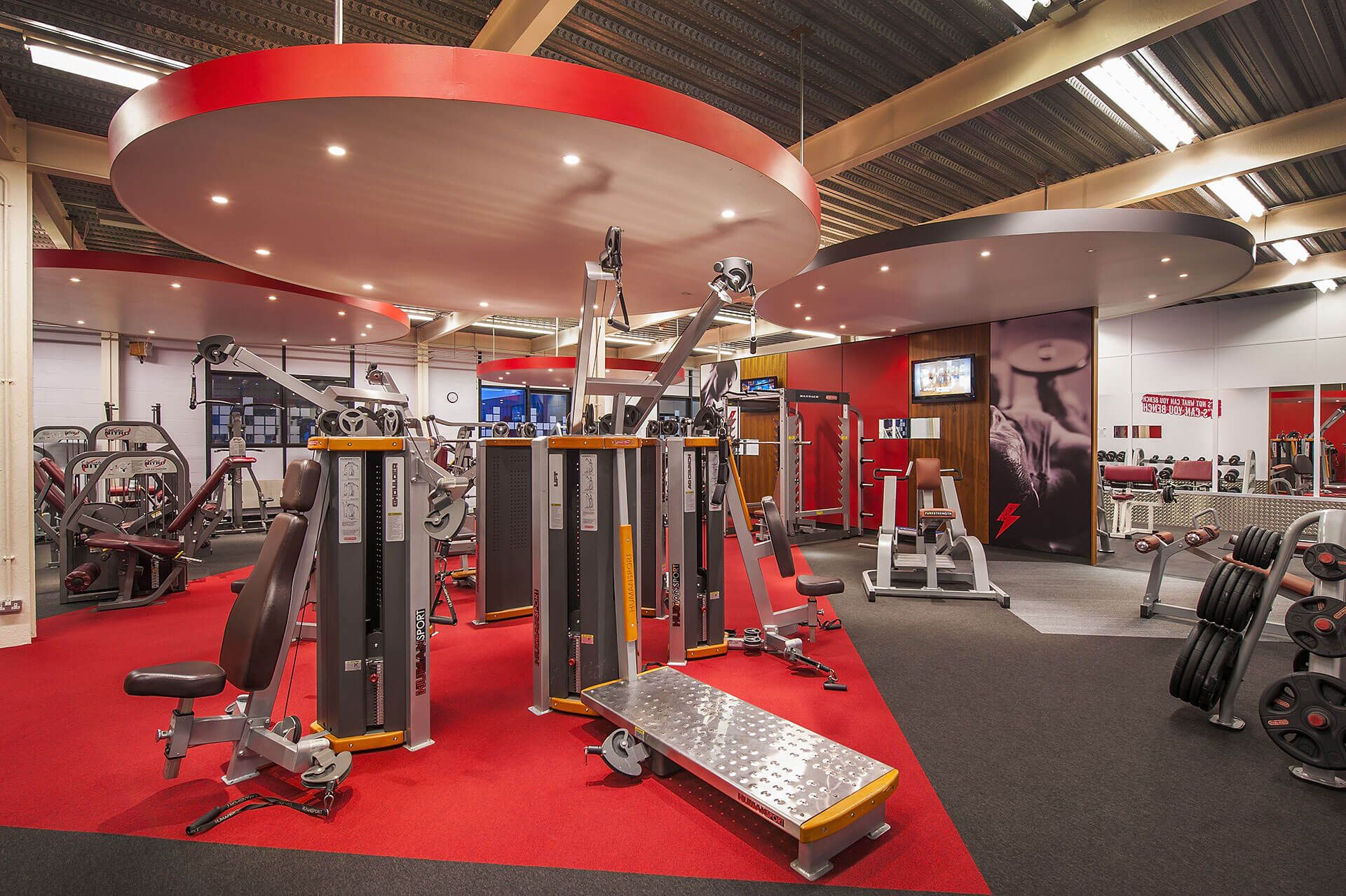 Absolute Fitness 5