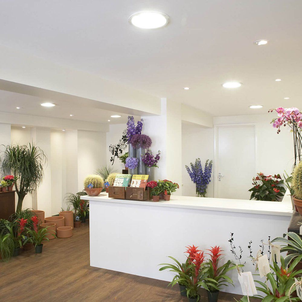 Green parlour front desk