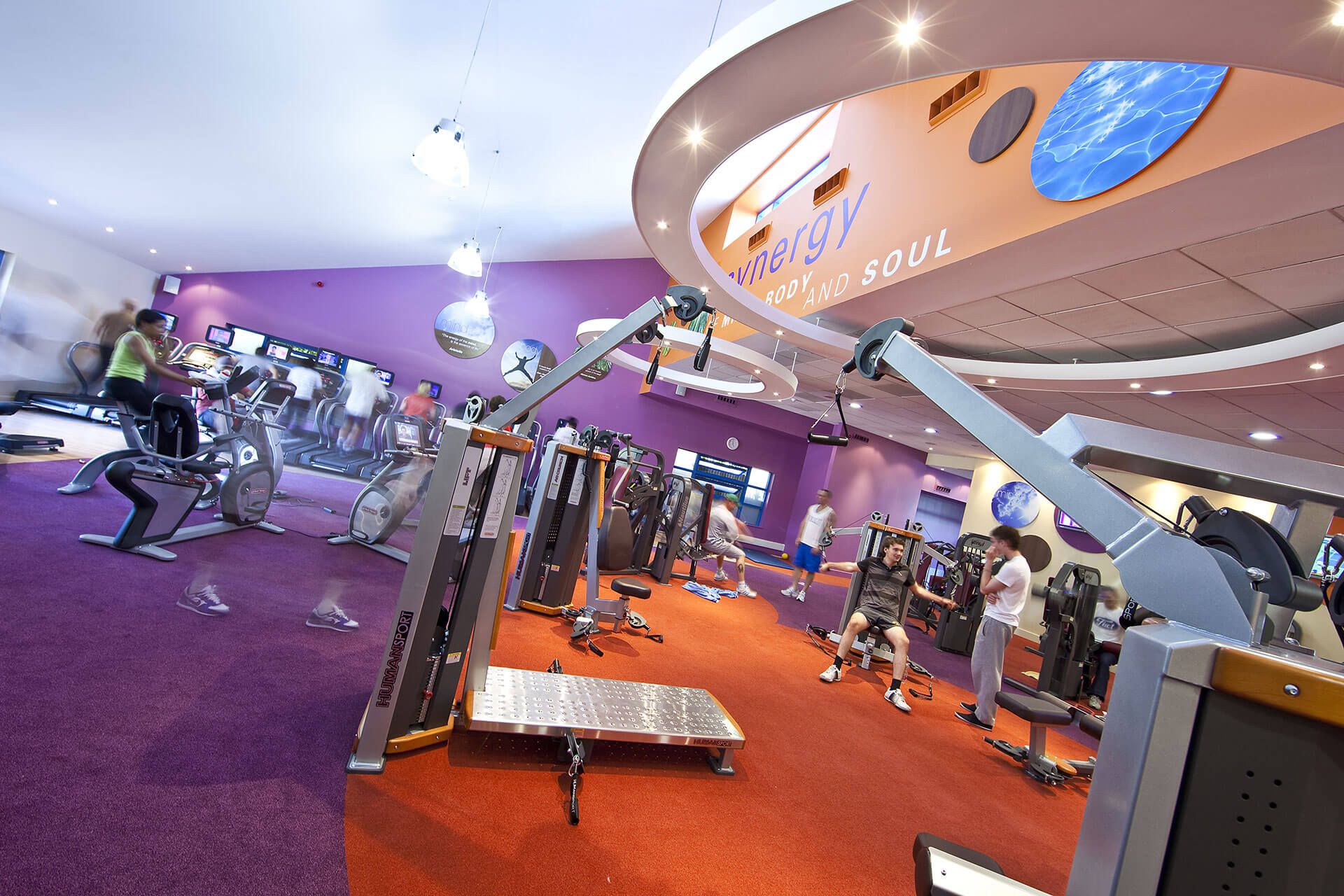Absolute Fitness 5