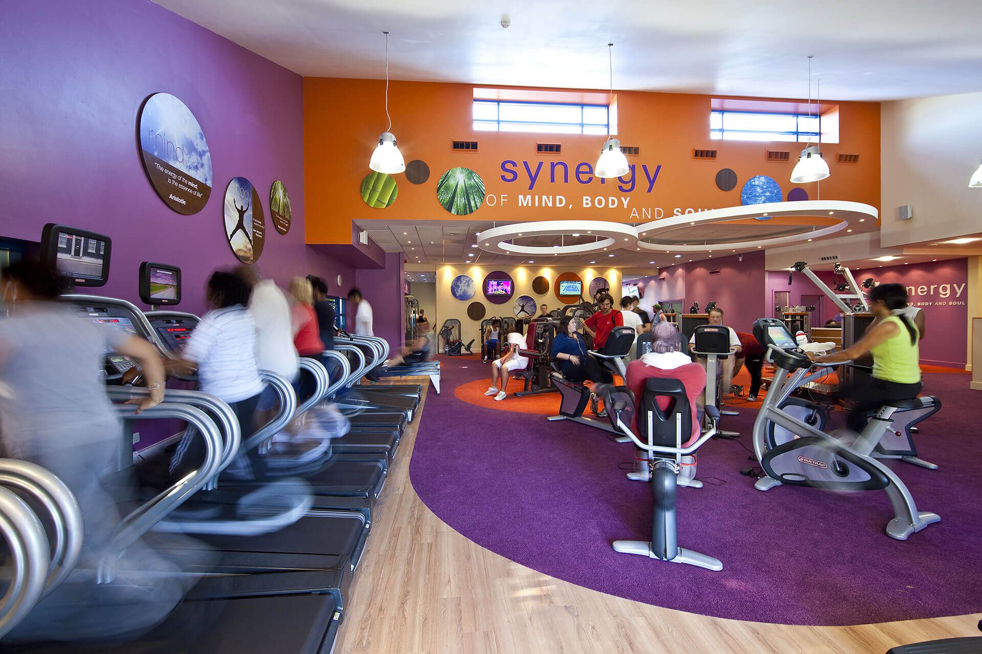 Absolute Fitness 4