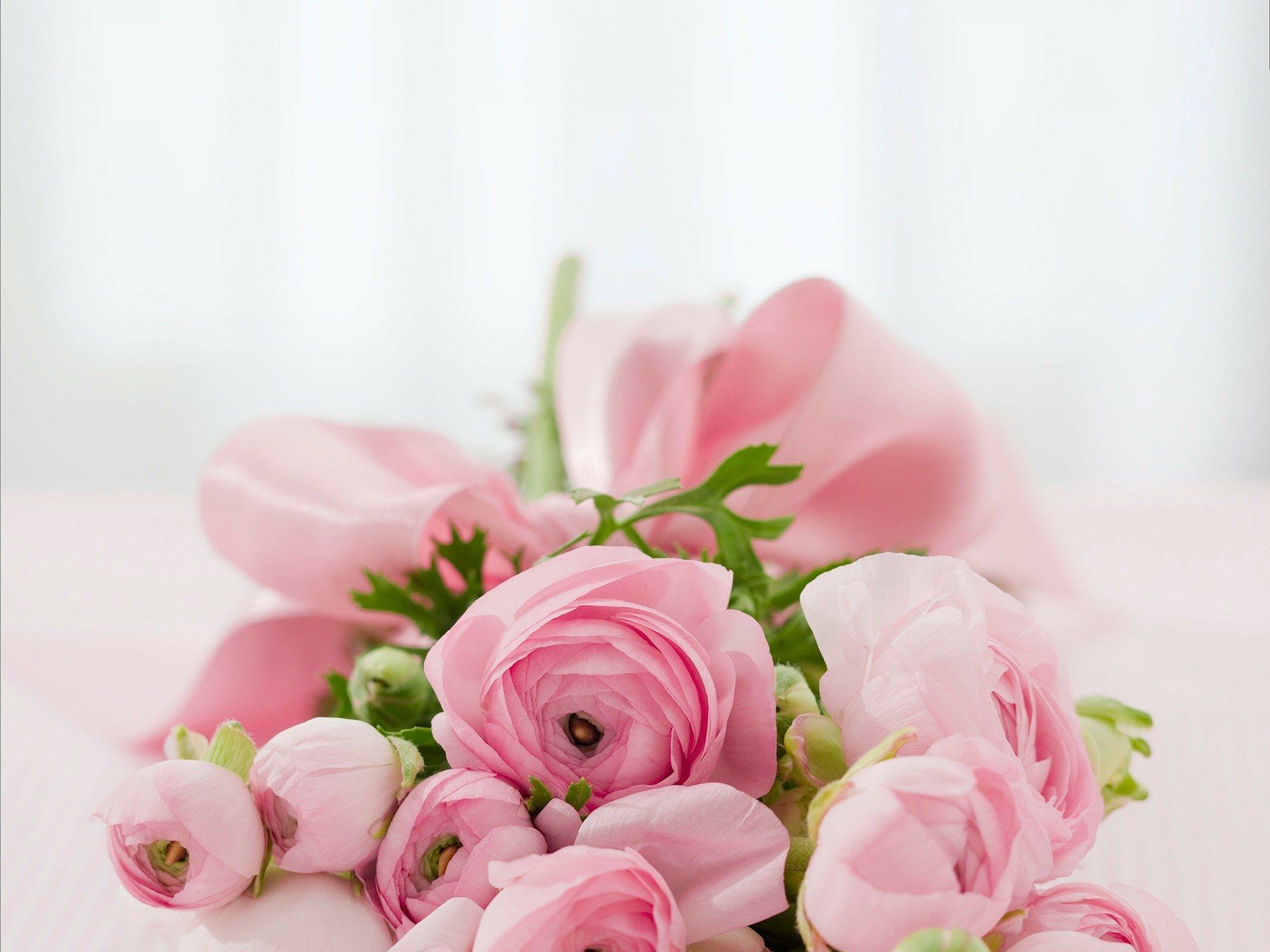 Pink roses and buds arranged in a soft floral bouquet on a light background