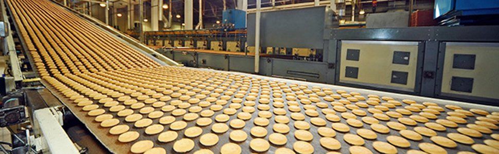 Cookies moving along a conveyor belt in a factory.