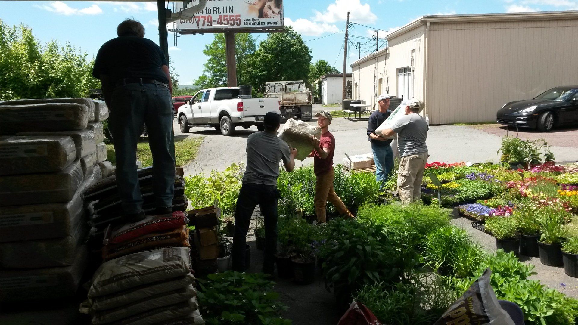 Landscaping — Garden Shop in Pittson, PA