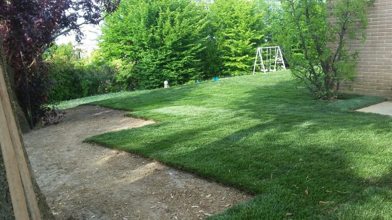 prati per giardini