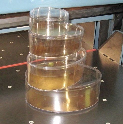 scatole acetate