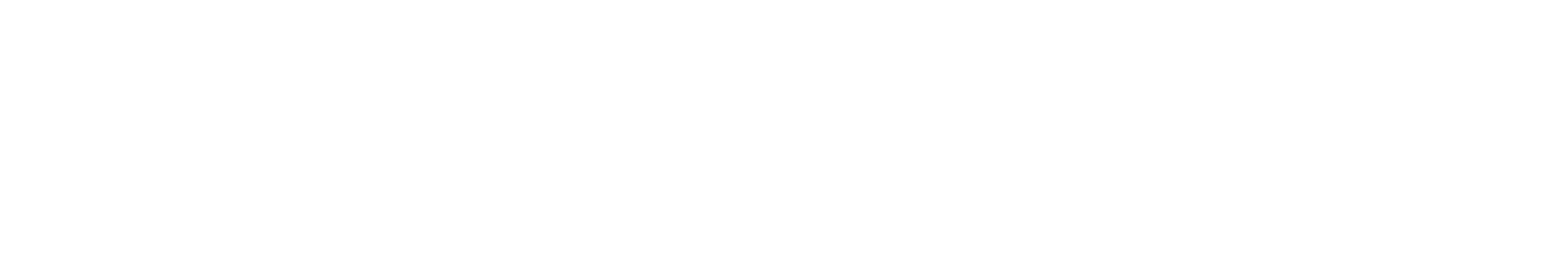 Lightning IP Logo