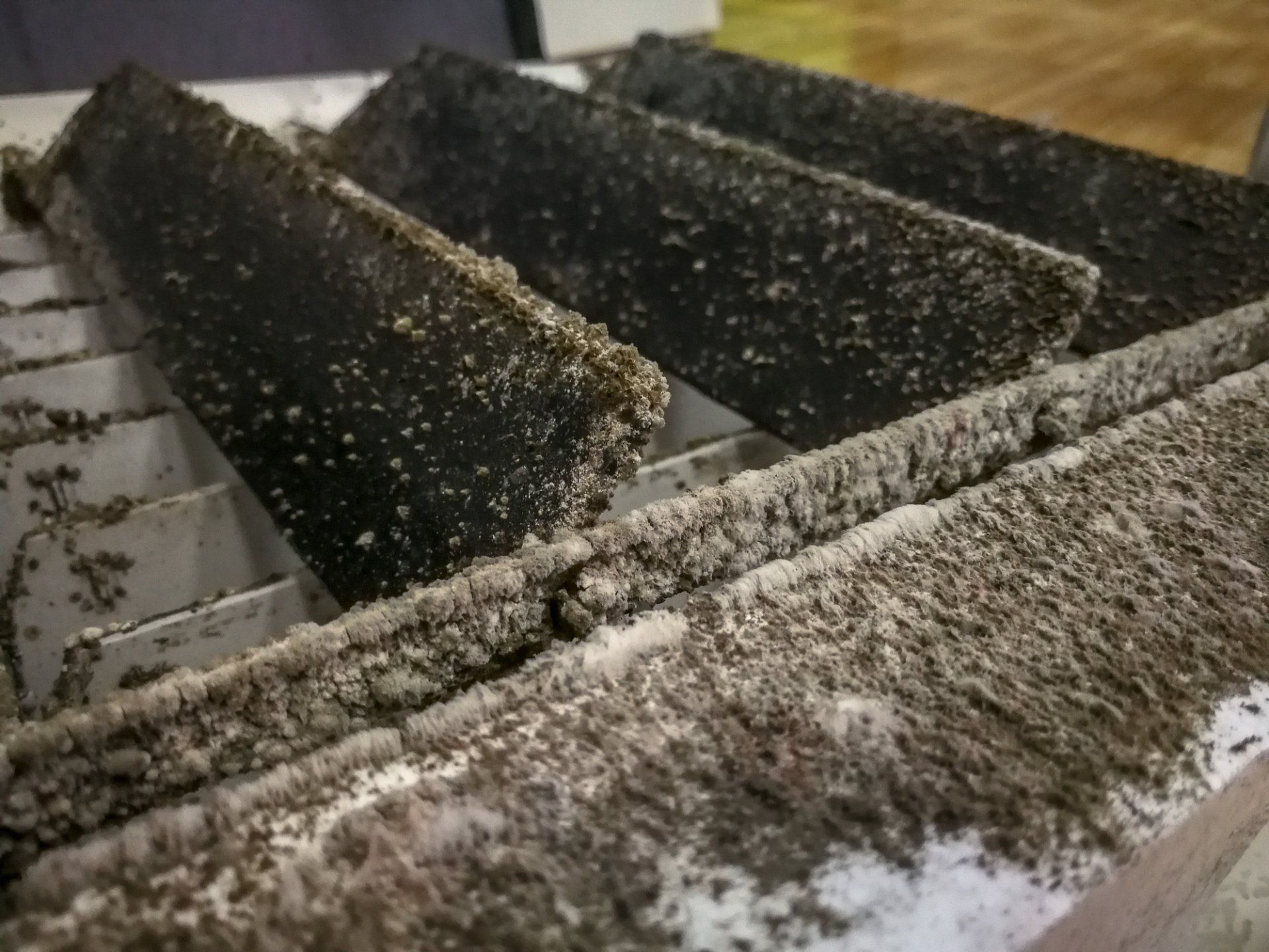 Dust Fungus In The Air Conditioner — Lafayette, LA — DUCTZ