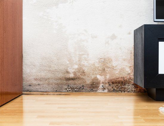 Mold On Wall — Lafayette, LA — DUCTZ