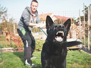 Dog Bites — Man Pulling His Angry Dog in Aiken, SC Dog Bites — Man Pulling His Angry Dog in Aiken, SC