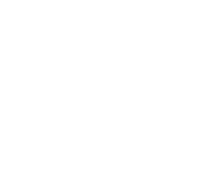 Empty white background.
