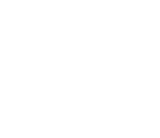 Empty white background.