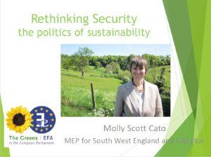 Politics of Sustainability