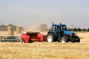 Hedge cutting - Heathfield - David Unsworth White - Hay making Hedge cutting - Heathfield - David Unsworth White - Hay making