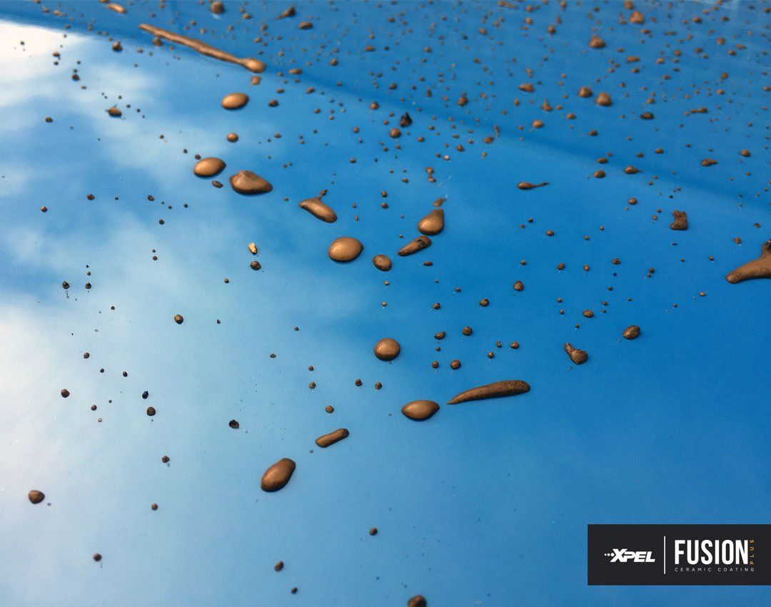 Brown mud splatters against a blue hood coated with Xpel ceramic coating