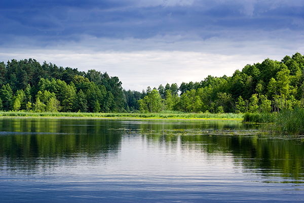 Lake — Medina County, OH — Laribee & Hertrick, LLP
