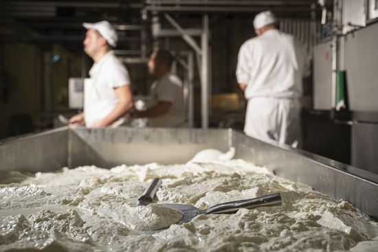 Fior di latte con pomodorini