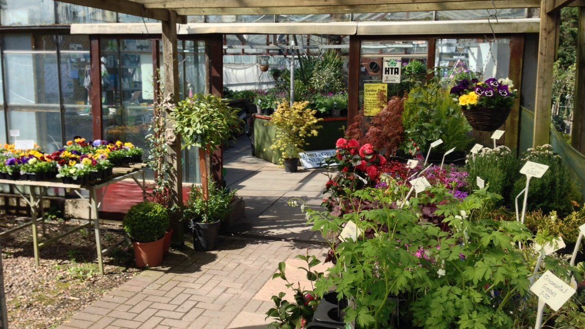Various plants at our nursery in Sheffield