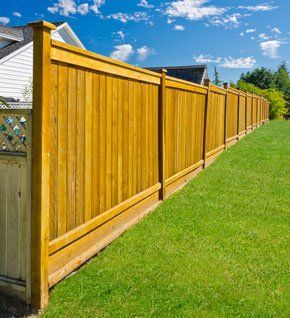 Garden fencing