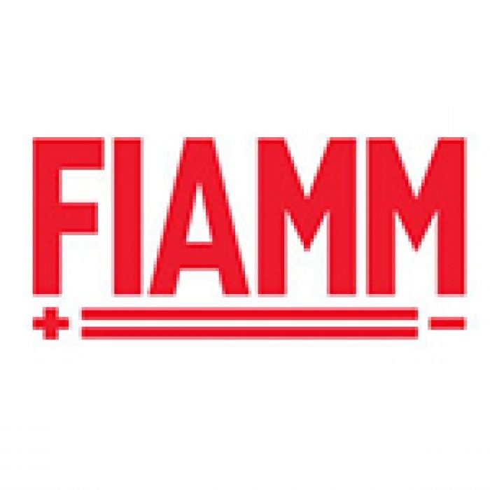 Logo Fiamm