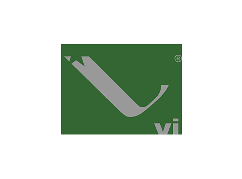 Logo - vi