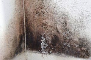 damp proofing