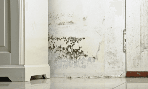 wall stains
