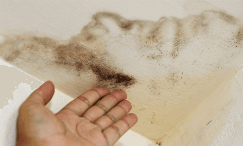 damp ceiling