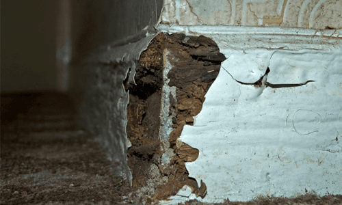 Cracks in timber