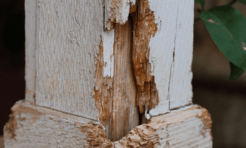 wood shrinking