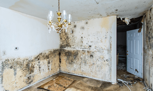 room with damaged walls